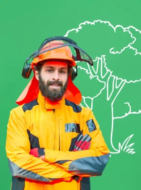 Abattage et façonnage des bois